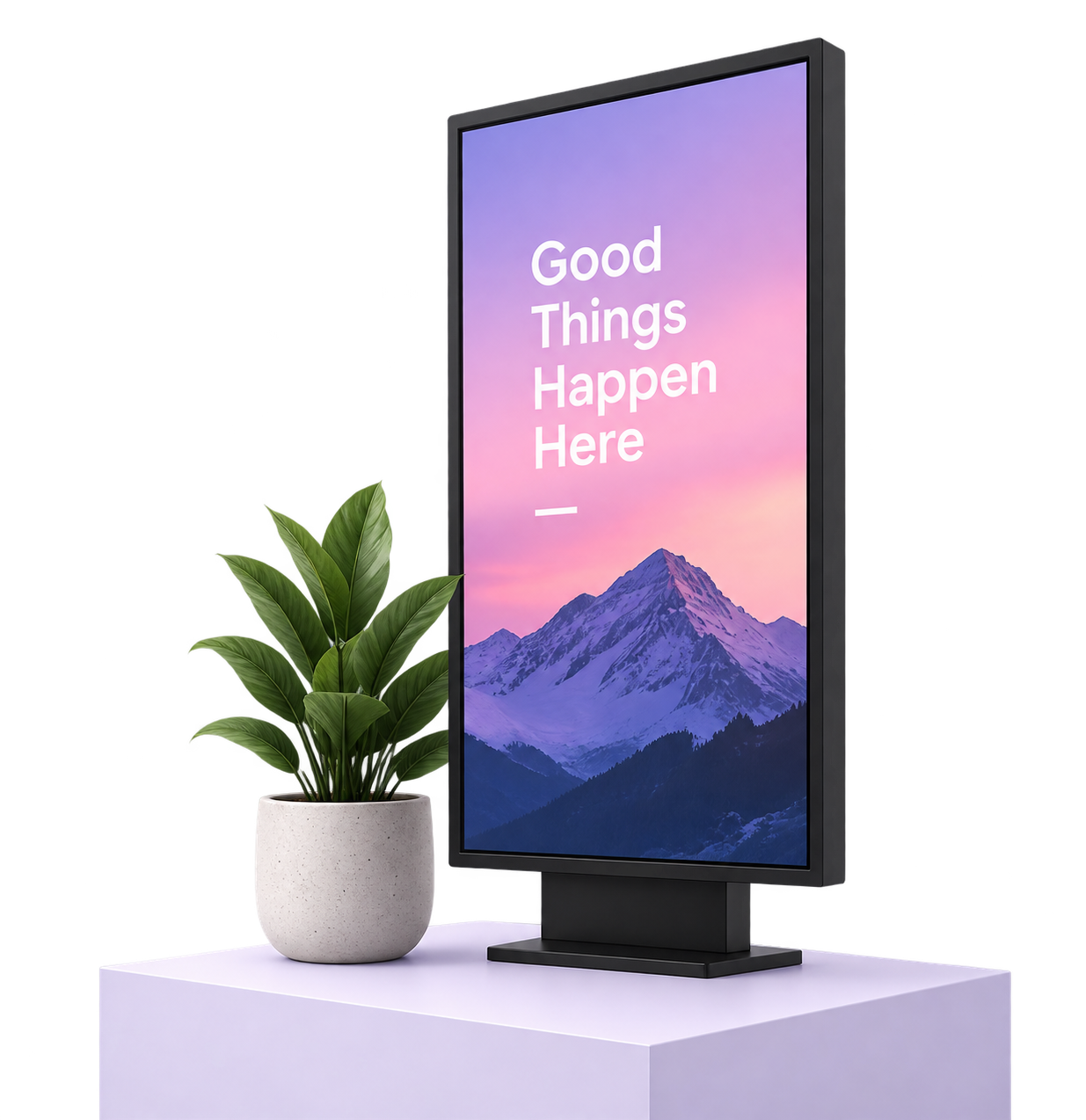 SignBear digital signage display